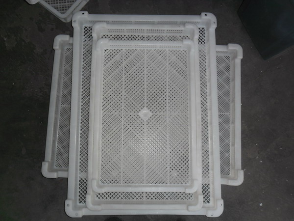 浙江宁波塑料冷冻盘/舟山塑料单冻器/加密型塑料冷冻盘