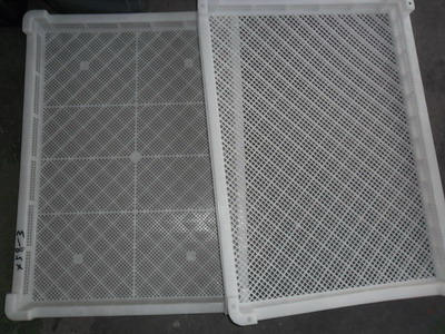 福建福州塑料冷冻盘/泉州塑料单冻器/加密型塑料冷冻盘