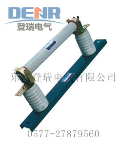 供应RN1-10/50A高压熔断器,熔断器用途