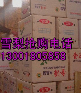 五一河北雪梨大清库，想要的就来吧