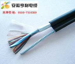(ZR-JYJVPL22本安信号屏蔽电缆绝缘)(金牛能源)