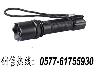 BXD6029//BXD6029\BXD6029防爆巡检电筒