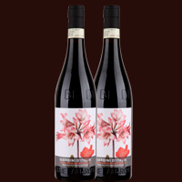 意大利红酒进口报关 意大利红酒进口报关代理 代理意大利红酒进