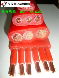 (台岛化工)(YJGCFBP-10KV高压扁电缆规格)(萍乡